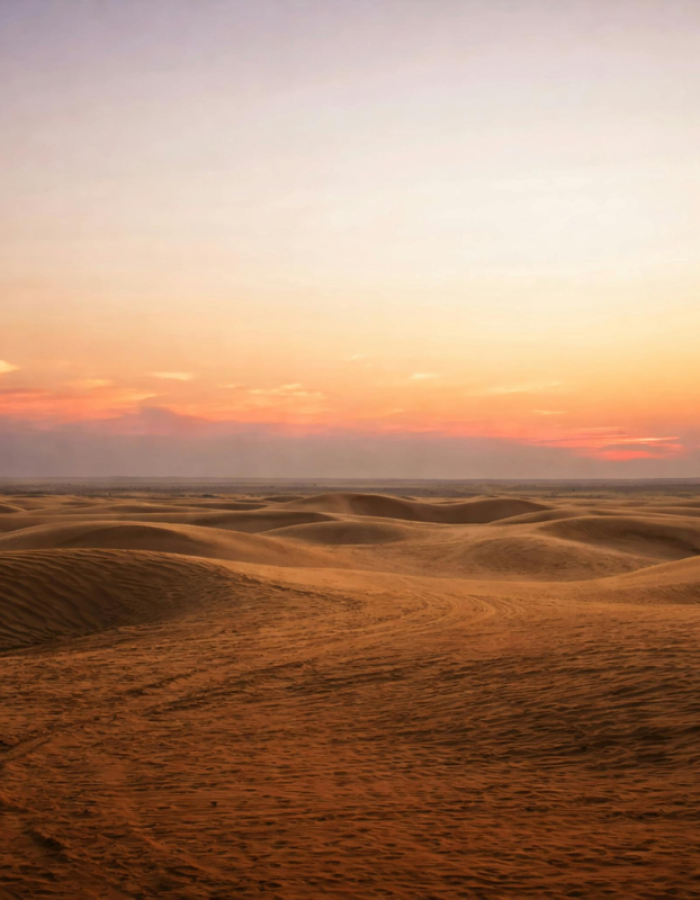 The Silent Desert: A serene escape for the offbeat traveler.