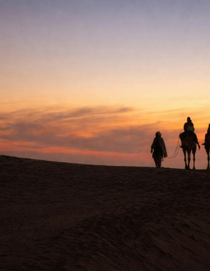 The Pulse of the Desert: Experience the thrill of the Thar.